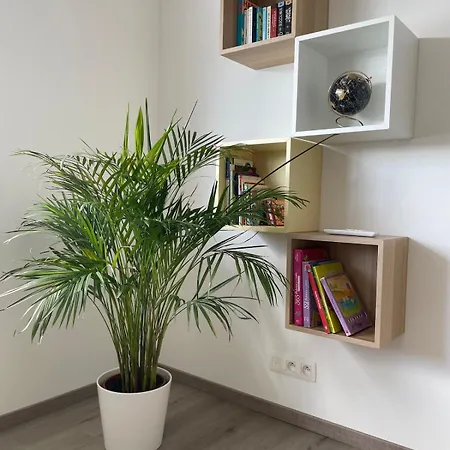 アパート Duplex Des Souverains *