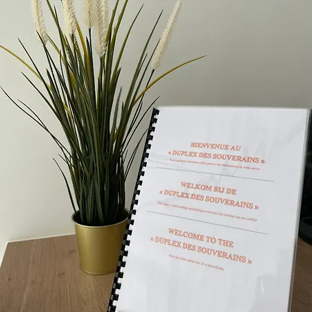 Duplex Des Souverains アパート *